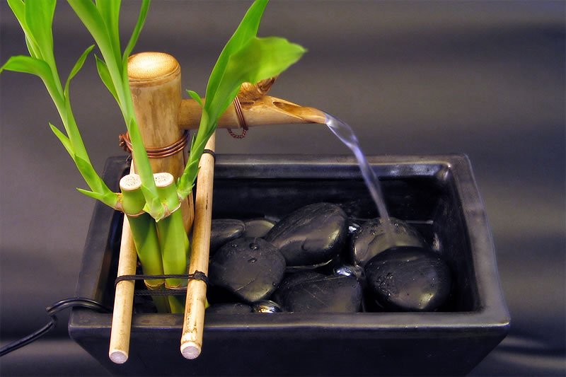 Zen Bamboo Plant Water Fountain