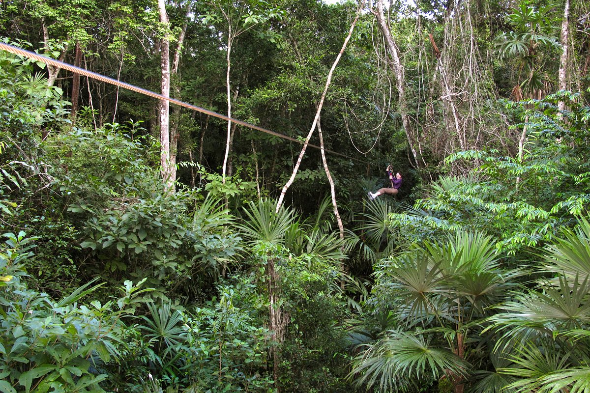 Jungle Zip-Line
