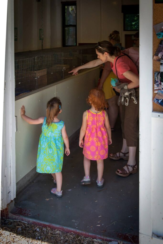 Two children in colorful dresses explore a viewing area. An adult leans over the railing observing the exhibits.
