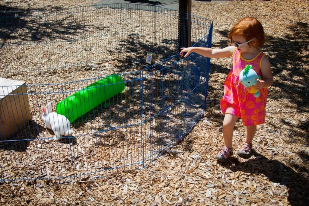 A child in a bright pink dress points toward a small white rabbit in a fenced wooden yard.