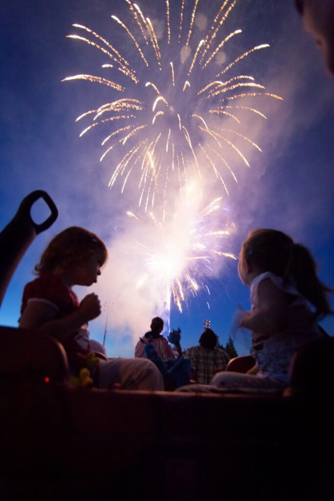 Silhouetted figures watching bright fireworks explode in the twilight sky.