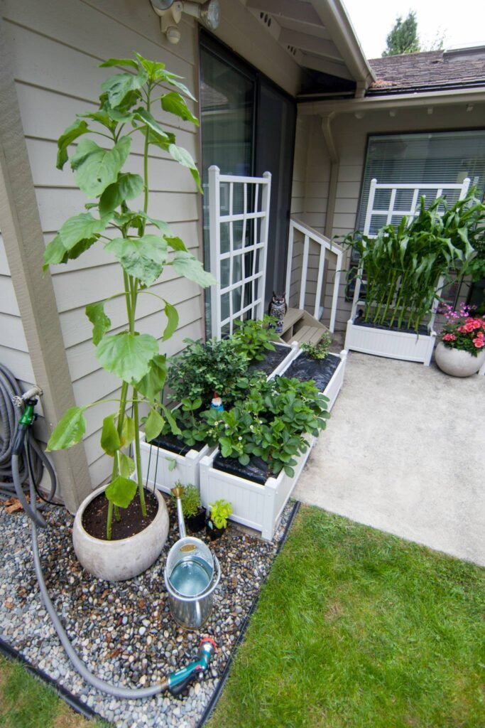 A home's side yard with a concrete patio, white fence, and planted area featuring a tall tree and shrubs.
