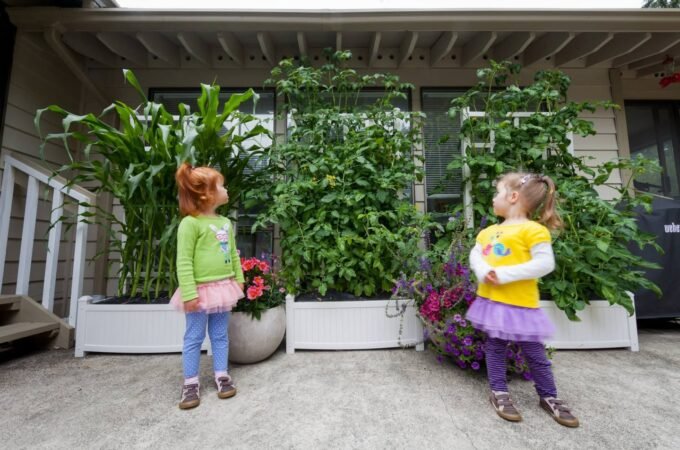 Two children stand on a patio admiring tall tomato plants growing on trellises in a white planter box. The garden features a mix of vegetables and flowers in front of a home exterior.