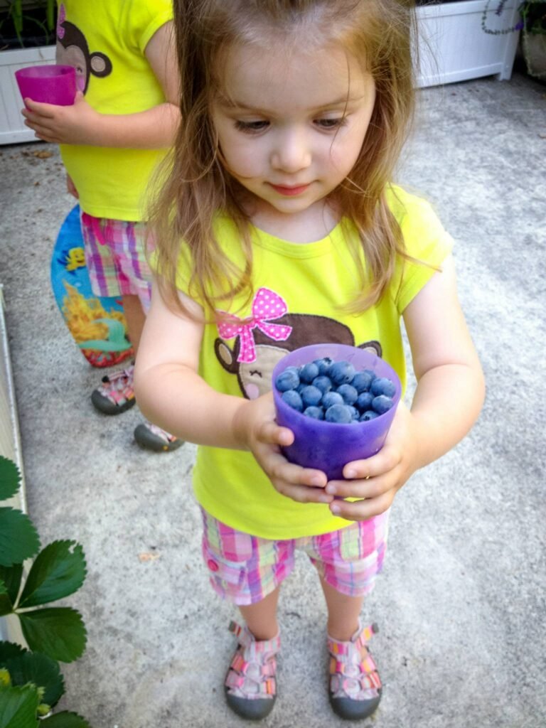 A child in a bright yellow shirt carefully holds a purple cup filled with freshly picked blueberries outdoors.