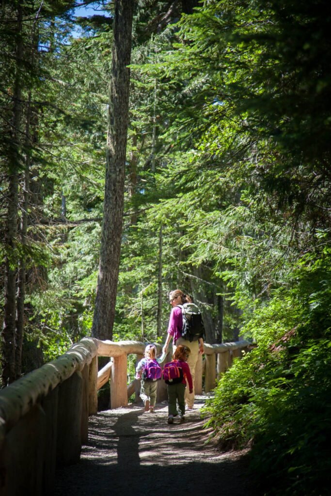 Family hiking on a wooden bridge through a dense forest in the Pacific Northwest, with children wearing backpacks.
