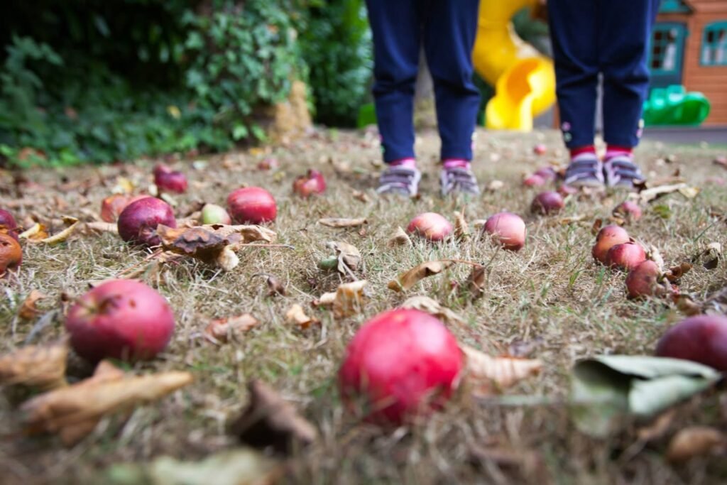 Apples scattered on the grass near a child, with play equipment in the background.
