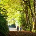 A couple walking away through a sun-dappled pathway in a tropical forest.