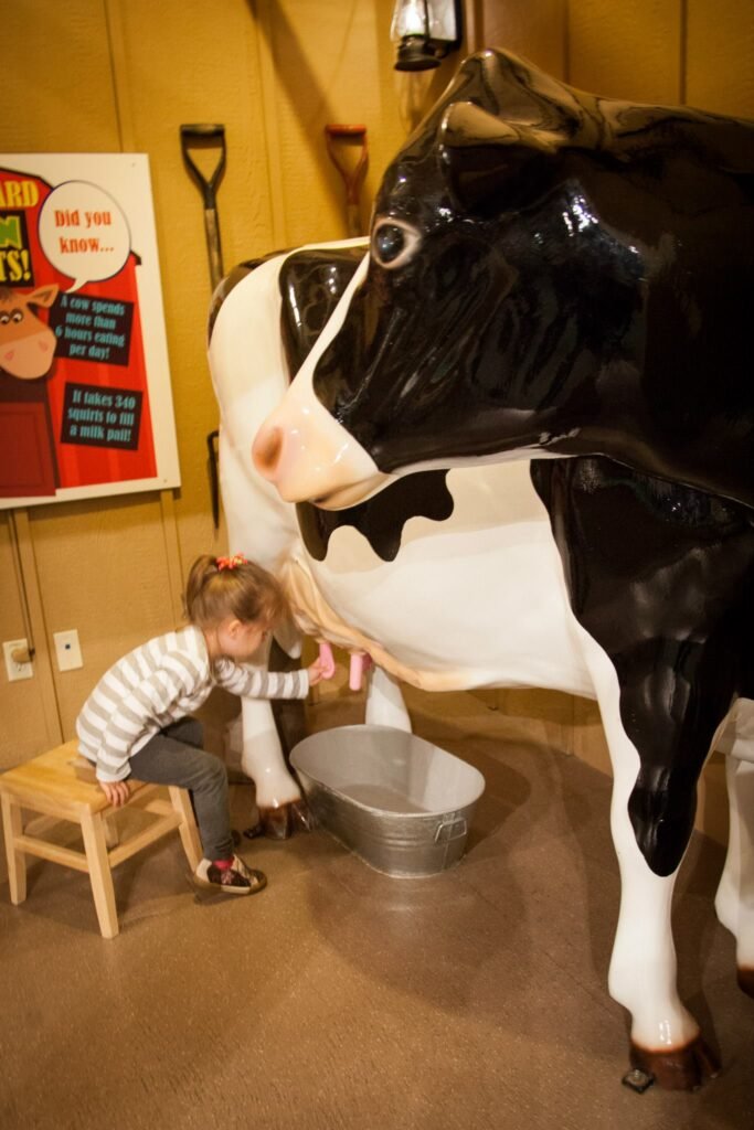 A child sits on a stool engaging with a large toy cow in a rustic indoor exhibit. The scene includes a bucket and wall decor typical of a farm-themed presentation.