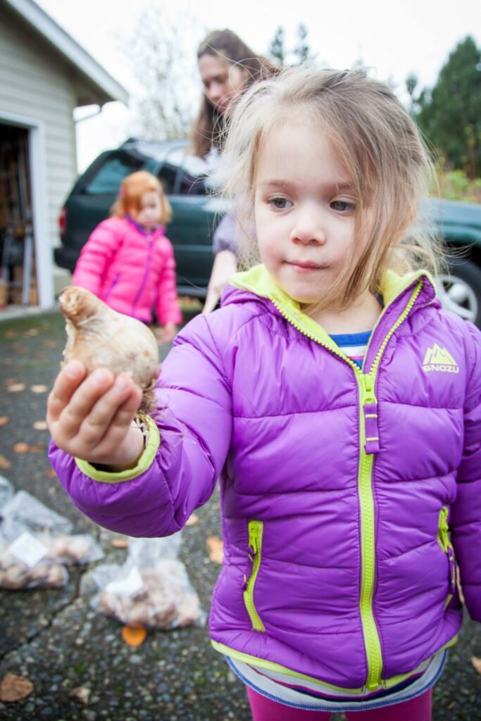 A young child in a purple puffer jacket proudly shows a uniquely shaped potato to the camera outdoors.