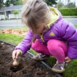 A child in a purple jacket crouches to plant bulbs in a garden bed.