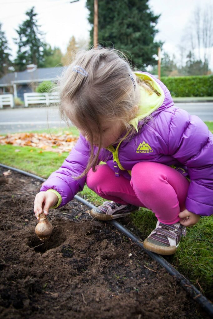 A child in a purple jacket crouches to plant bulbs in a garden bed.