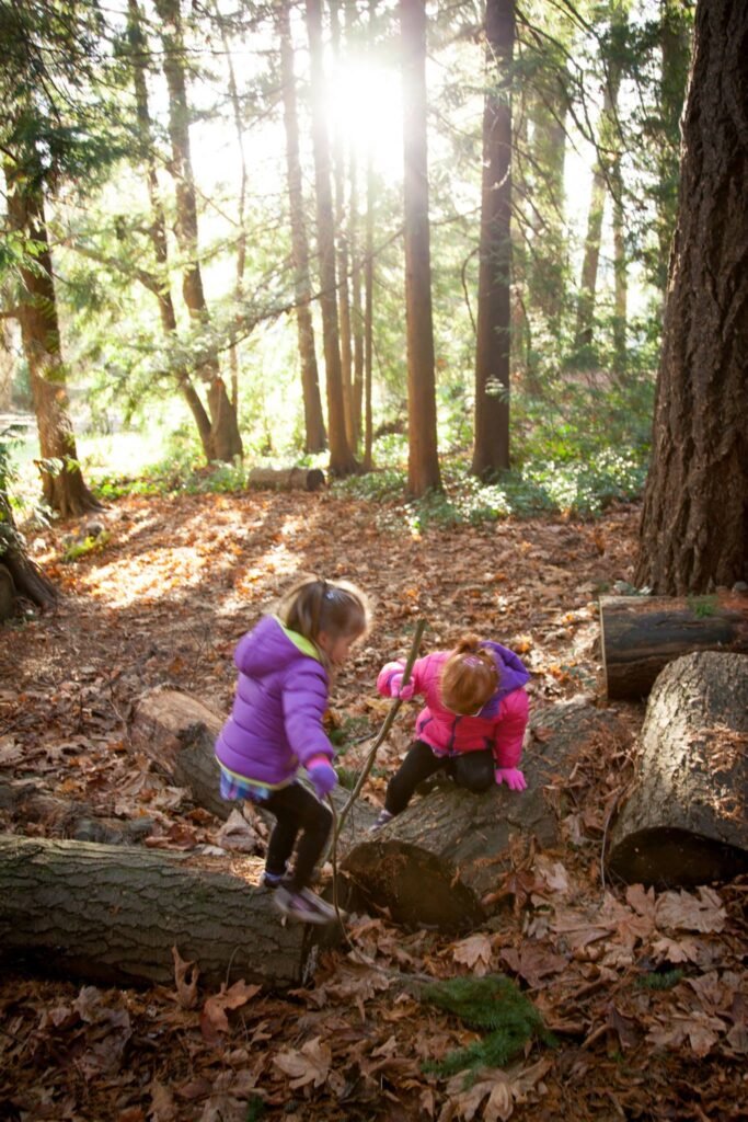 Two children explore a forest path with fallen logs and sunbeams streaming through tall trees.