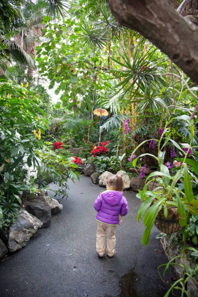 A person walks through a lush, tropical garden lined with vibrant plants and colorful flowers during a rainy day, under arching tree branches.