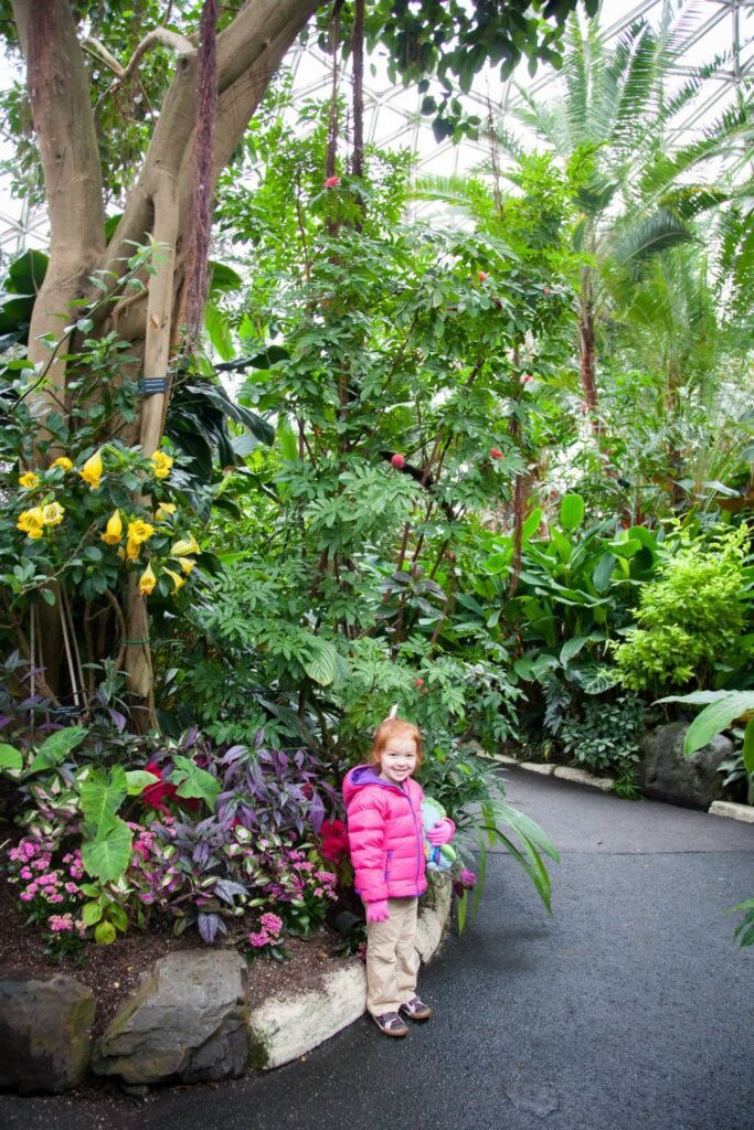 A child in a pink jacket stands by flowers in a botanical garden with diverse plant life.