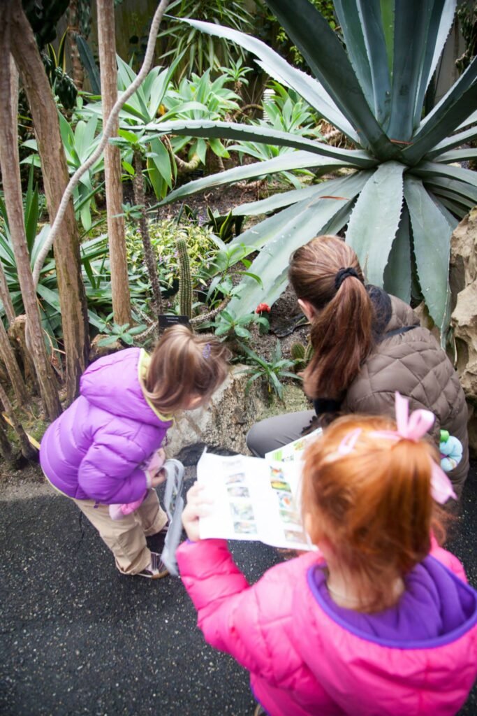 A family exploring a botanical garden with lush greenery and tropical plants.