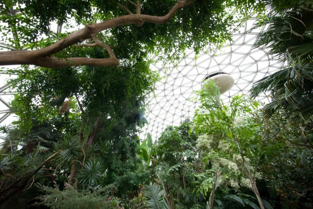 View of a geodesic dome greenhouse with lush green trees and plants.
