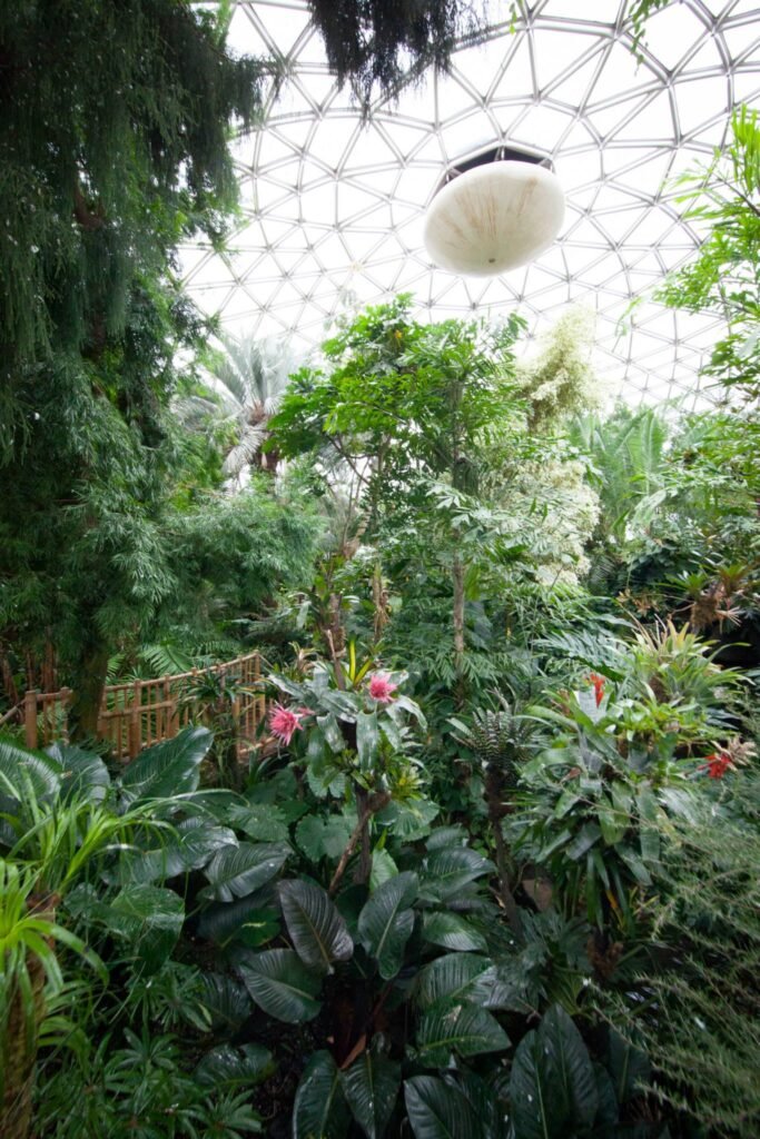 A view of a tropical conservatory with a geodesic dome ceiling and a variety of lush plants and flowers.