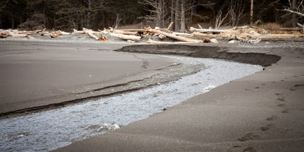 A river flows through a sandy landscape with driftwood and trees in the background, showcasing the beauty of the Pacific Northwest.