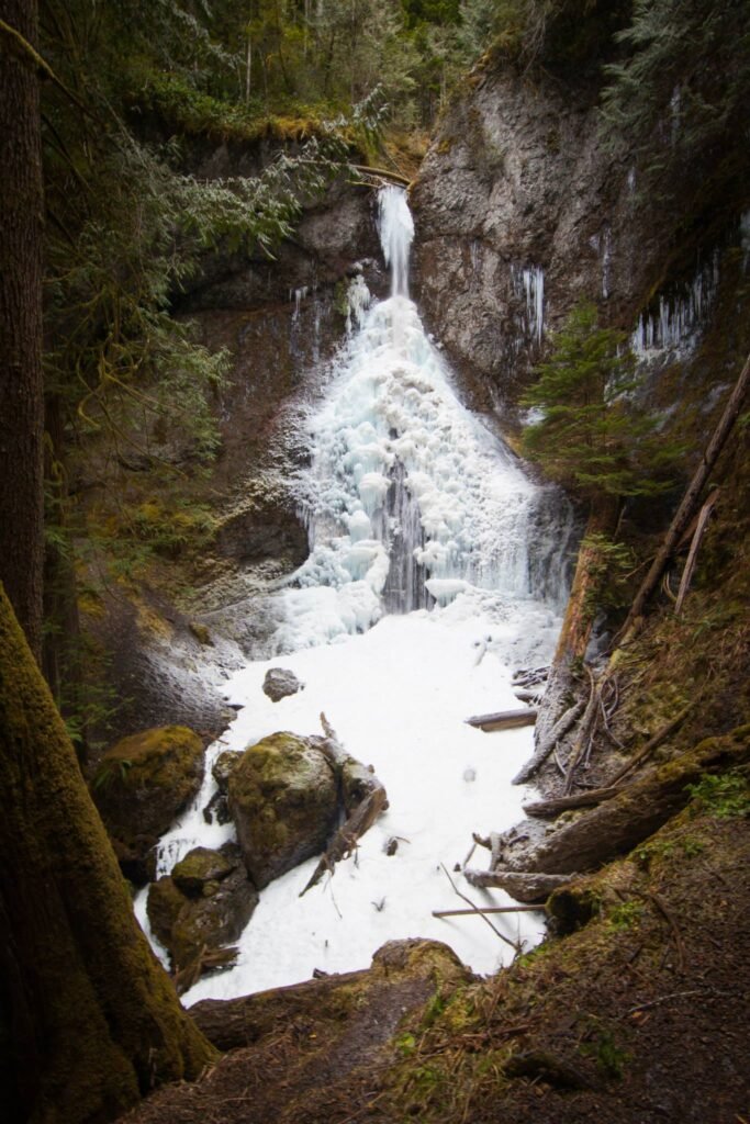 Multiple views of a rugged waterfall flowing through a shadowed, mossy forest environment.