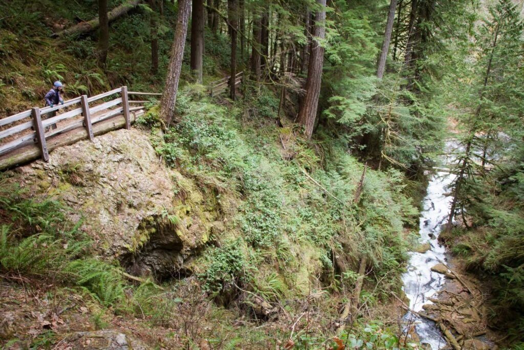 A wooden fence overlooking a pristine forest waterfall. Tall evergreen trees and lush greenery surround the rushing water in a serene outdoor setting.