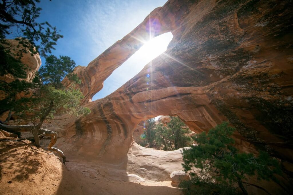 Upward view of a rock arch with sunlight shining through and tree branches against a blue sky. Close-ups of sandstone textures and desert vegetation are shown.