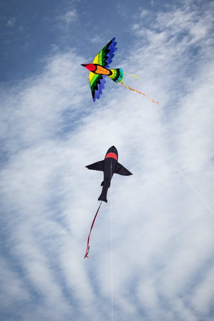 A collage of kites, including a colorful hummingbird and a black stunt kite, flying high.