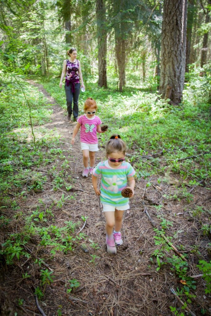 A family enjoys a walk along a shaded forest trail, surrounded by tall evergreen trees and lush greenery.