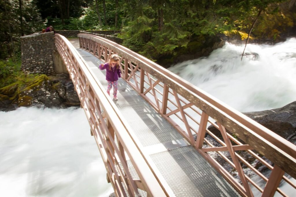An arched pedestrian bridge spans a rushing river in a forested area.