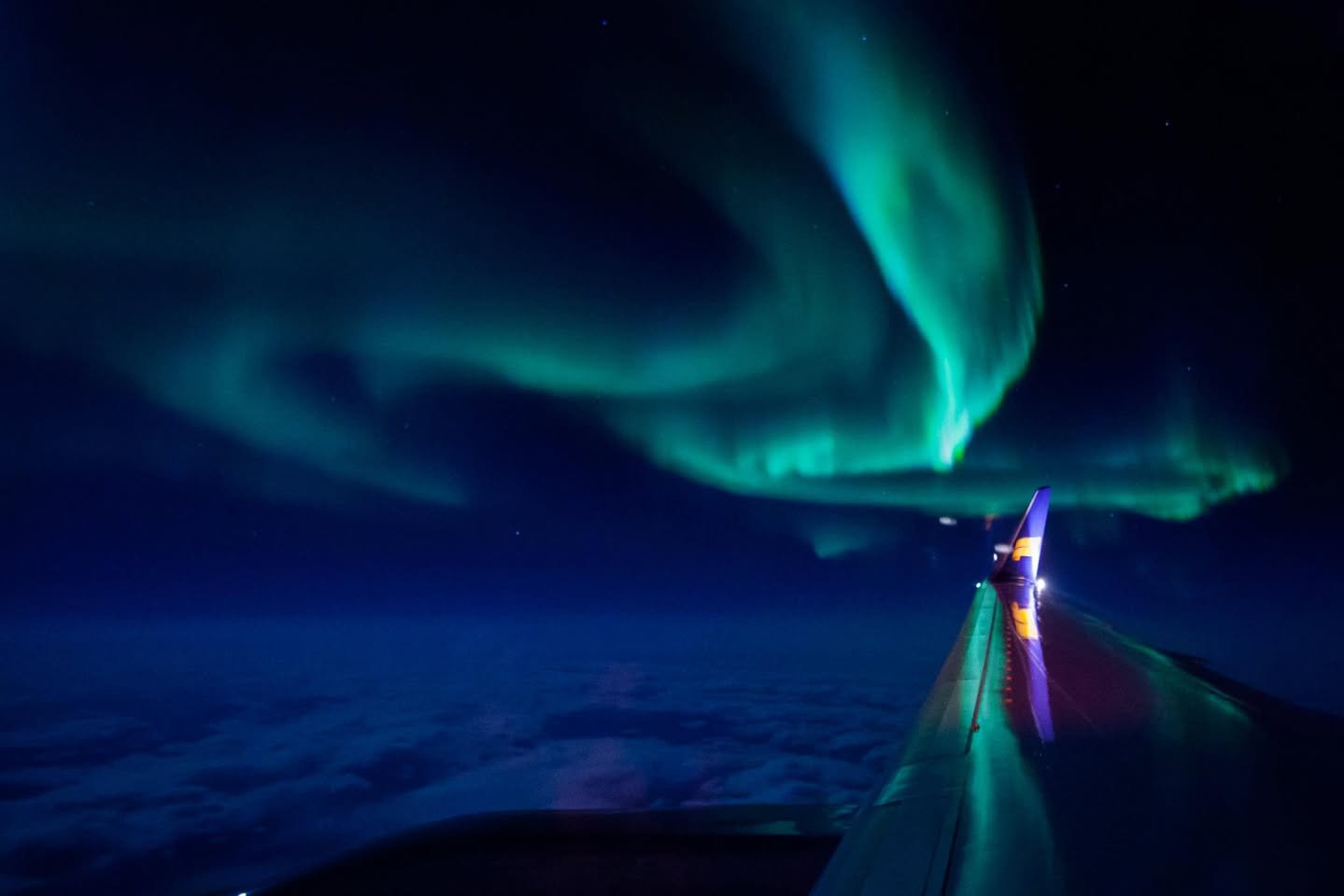 Iceland Vibrant aurora borealis glowing in the night sky above the Pacific Ocean.