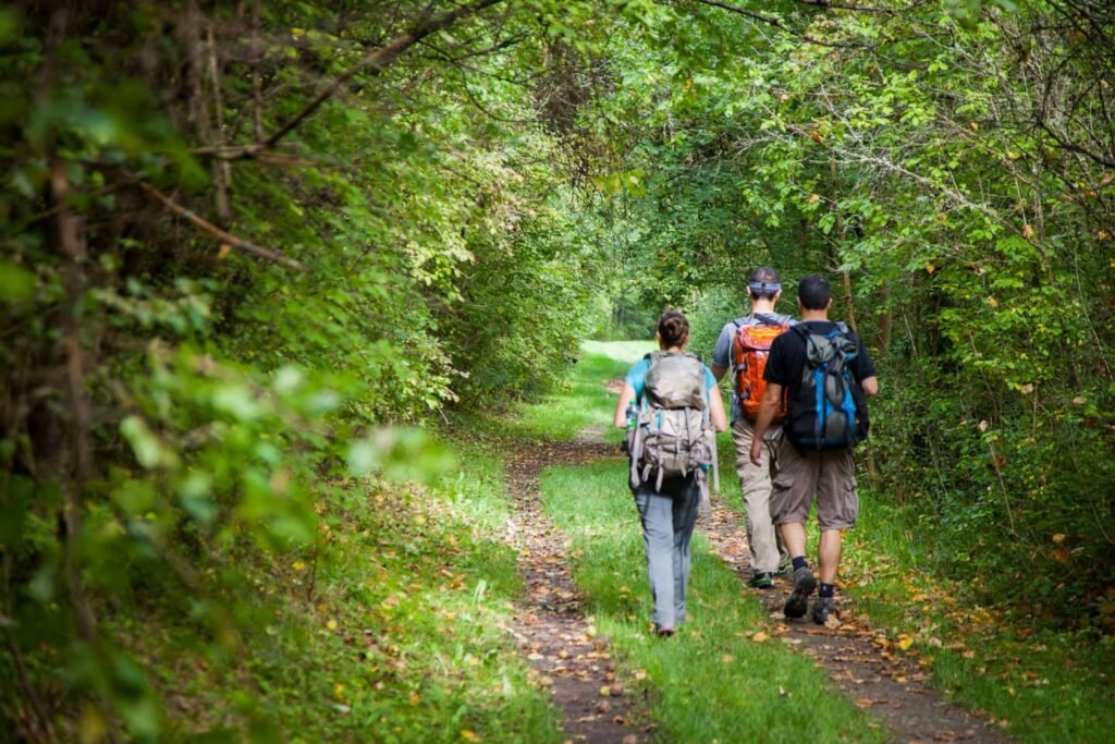 Three hikers walking on a forest trail with backpacks through vibrant green foliage in the Pacific Northwest.