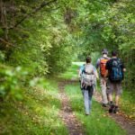Three hikers walking on a forest trail with backpacks through vibrant green foliage in the Pacific Northwest.