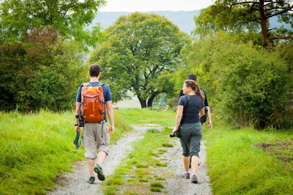 A group of hikers walking on a gravel path surrounded by lush greenery and trees.