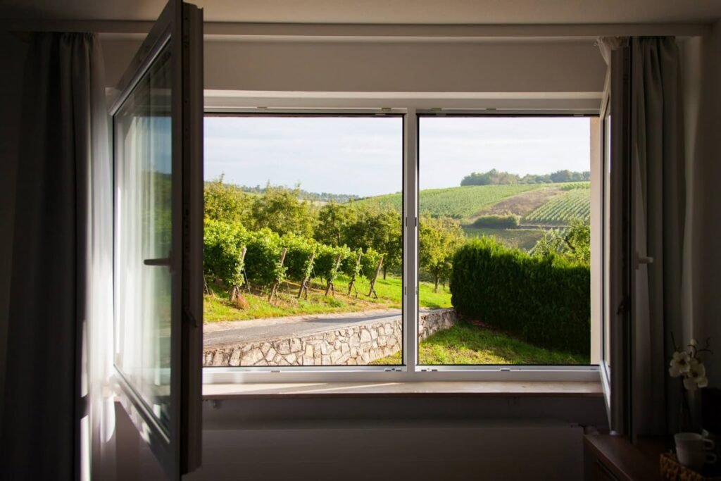 A window view overlooking a lush vineyard with rows of grapevines and green fields extending into the distance.