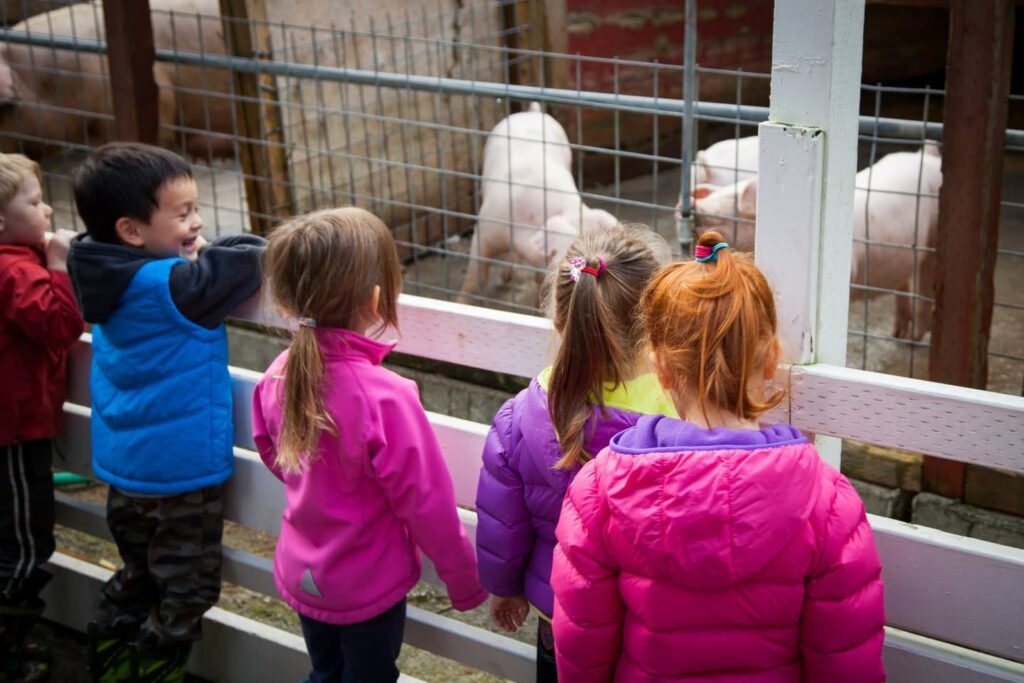 A group of children wearing colorful jackets look through a fence at pigs.