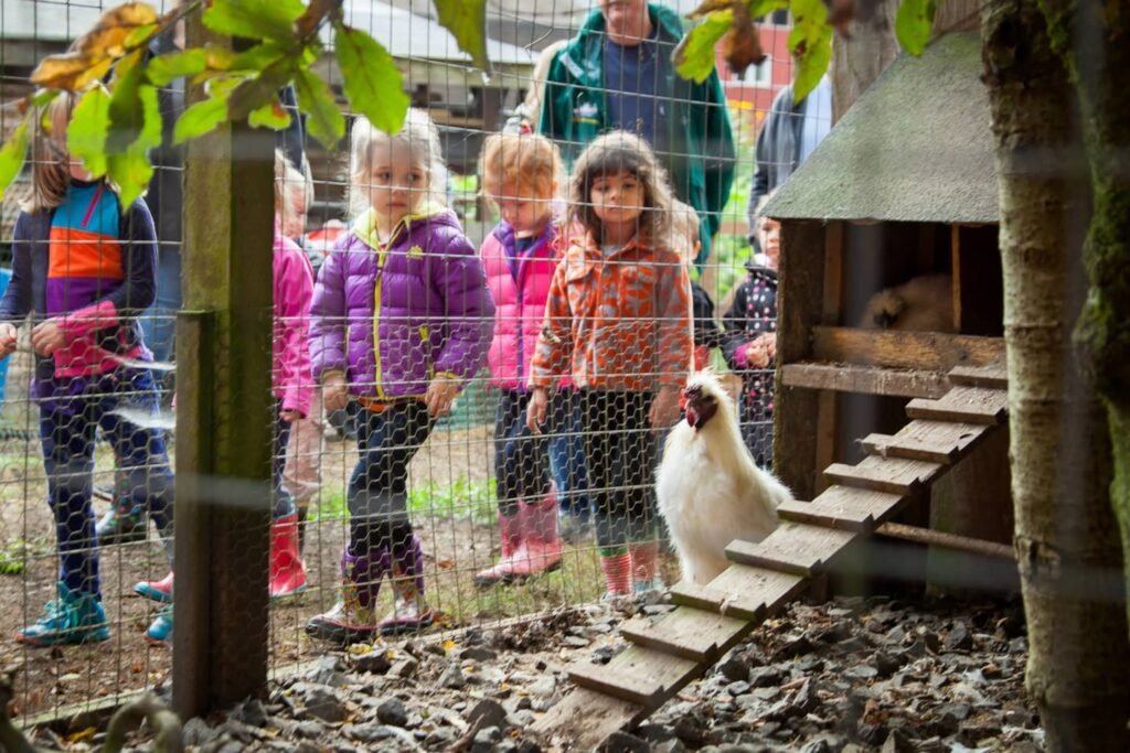 Children observe a chicken in an outdoor enclosure. A wooden coop and ramp are visible behind a chain-link fence.