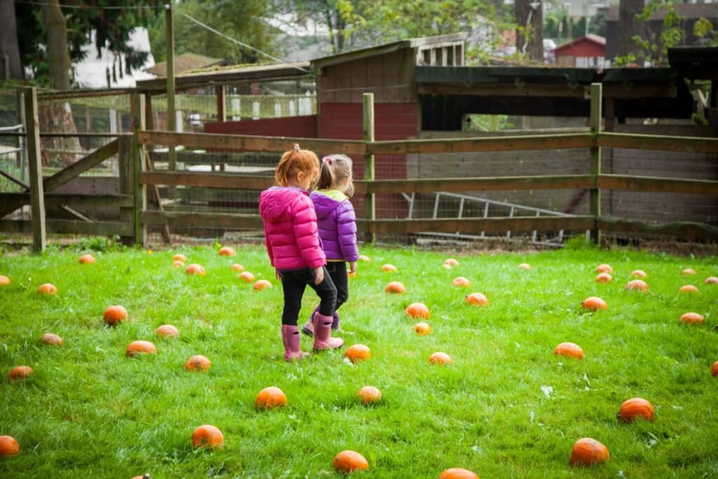Children in colorful jackets explore a farm field filled with scattered pumpkins, with a wooden fence and barn in the background. A peaceful autumn scene in the Pacific Northwest.