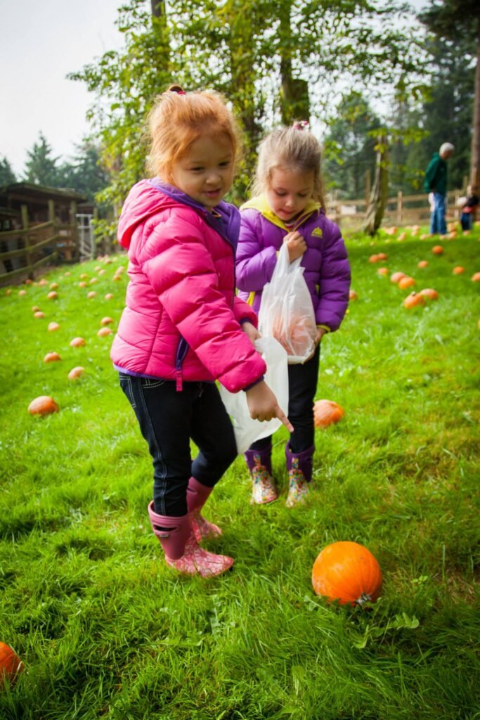 Children in colorful jackets gather pumpkins from a grassy patch.