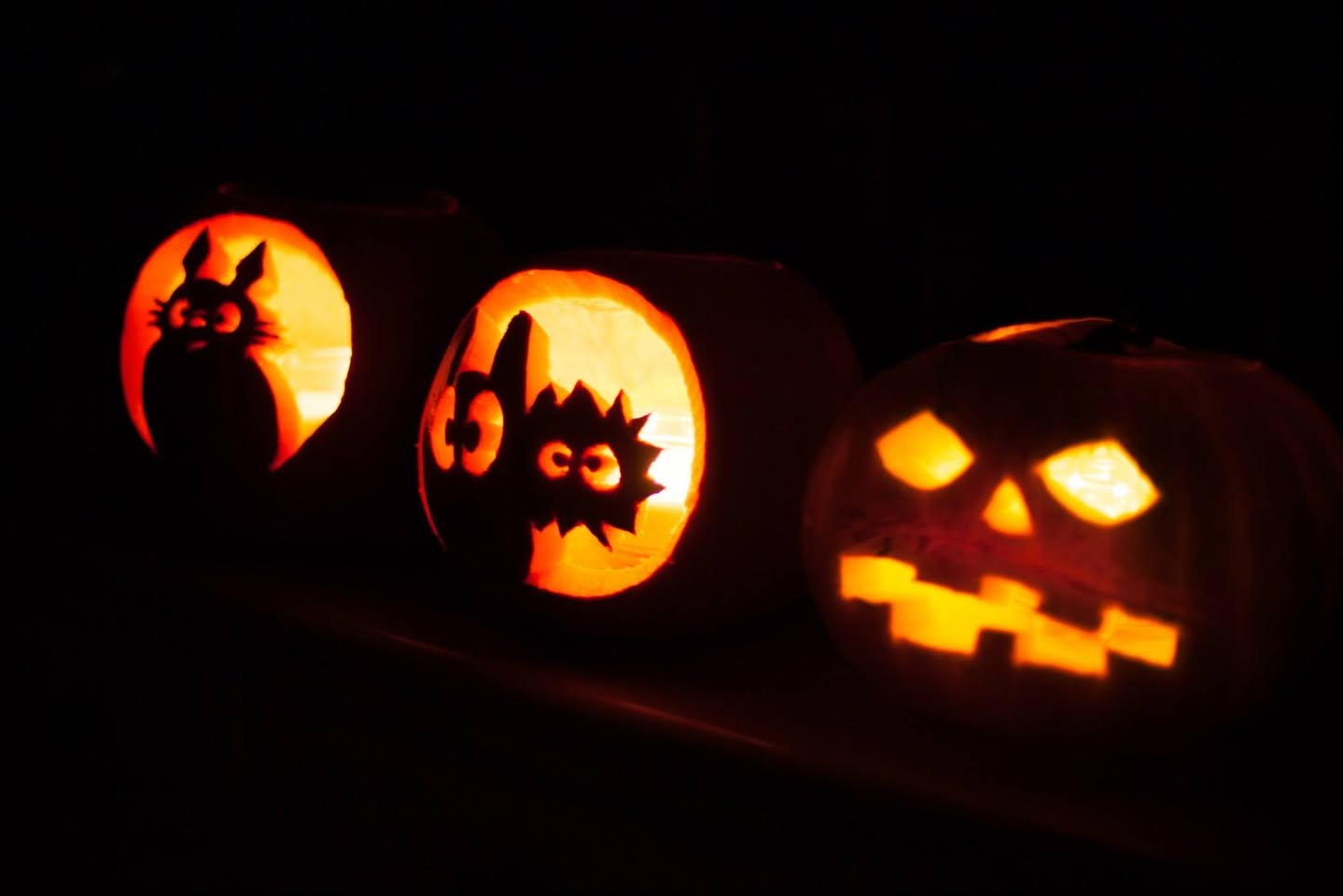 A row of illuminated jack o lanterns carving unique faces that include a cat, a spider, and a classic pumpkin.