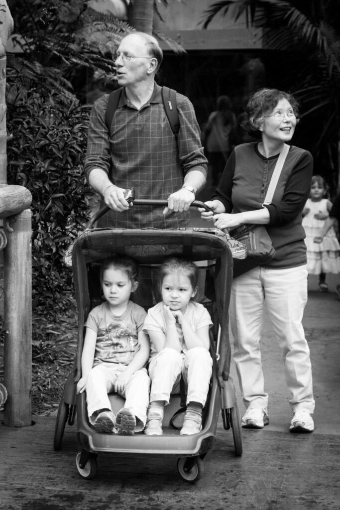 A couple pushes a stroller with two children while strolling through a lush garden. Close-up views highlight the family's joyful interaction and the relaxed outdoor setting.