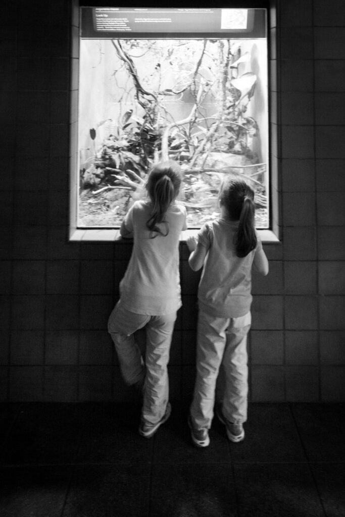Two children in matching outfits stand at a window looking outside. Black and white photo shows a view through the glass.