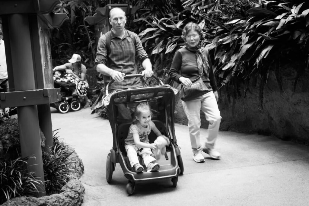 A black and white photo of a family walking a toddler in a stroller through a lush garden.