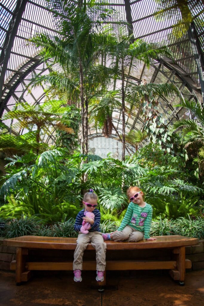 Children on a wooden bench surrounded by lush tropical plants inside a botanical garden conservatory with a high glass ceiling and metal framework.