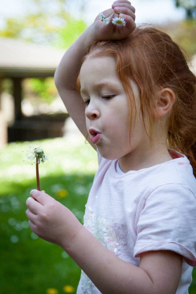 A close-up of a child blowing seeds from a dandelion flower.