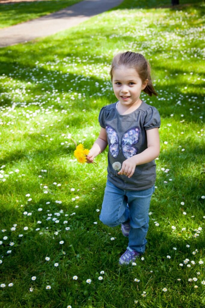 Blooming daisies in green backyard lawn.