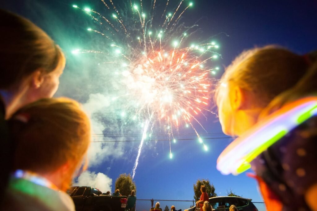 Spectators in the foreground watch colorful fireworks explode in a twilight sky above distant trees.