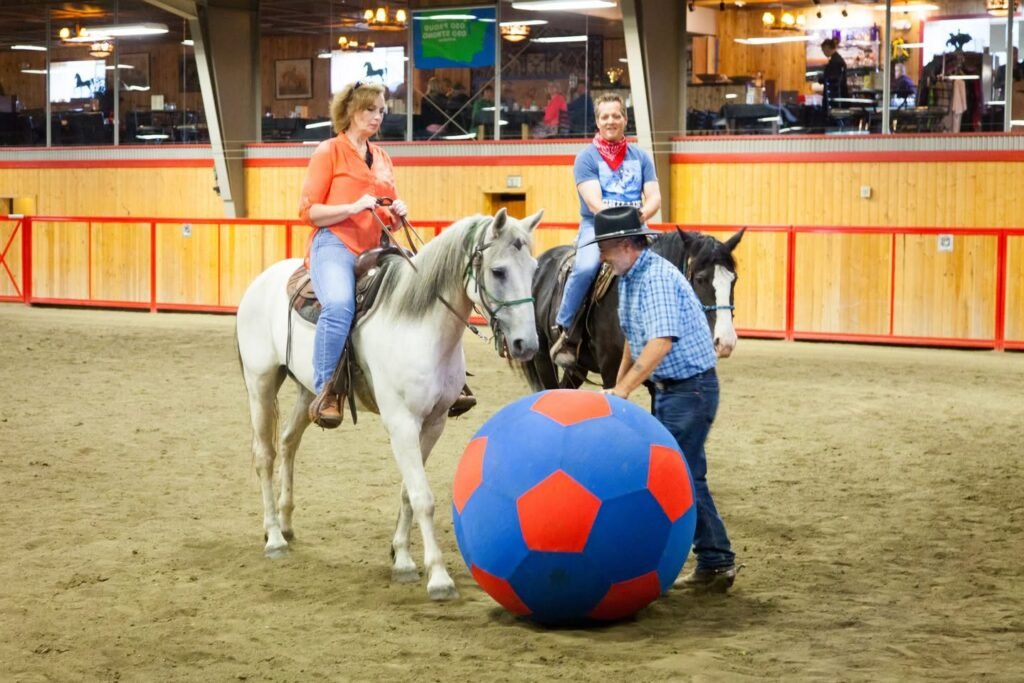 A person guiding a horse over a large ball in an indoor arena.