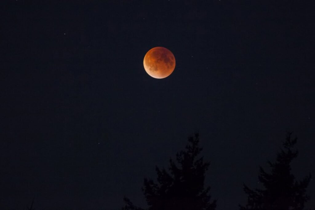A striking blood moon glows against a dark night sky with silhouetted conifer trees.