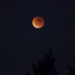 A striking blood moon glows against a dark night sky with silhouetted conifer trees.