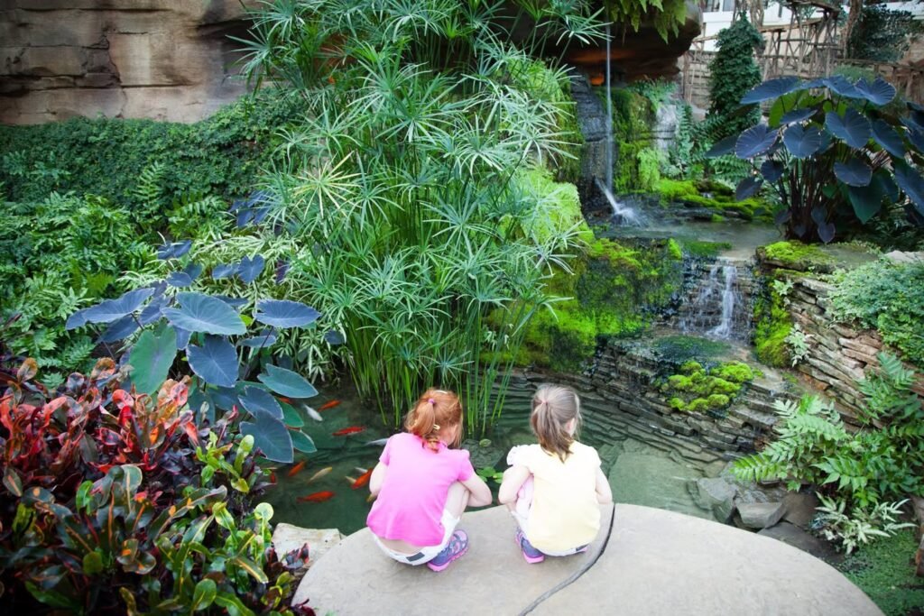 Children viewing a lush garden with a small waterfall.