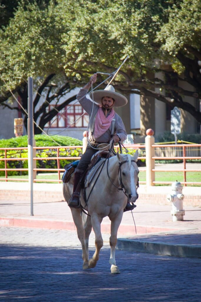 A rider on a grey horse holding a whip during an outdoor equestrian demonstration.